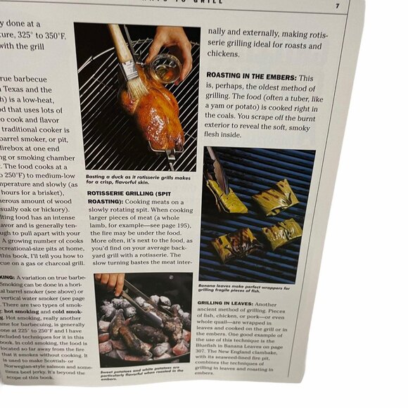 How To Grill By Steven Raichlen Barbecue Guide Book Techniques Easy Recipes - Picture 2 of 4